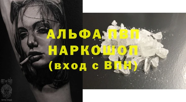 сатива Пересвет