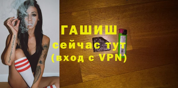 сатива Пересвет