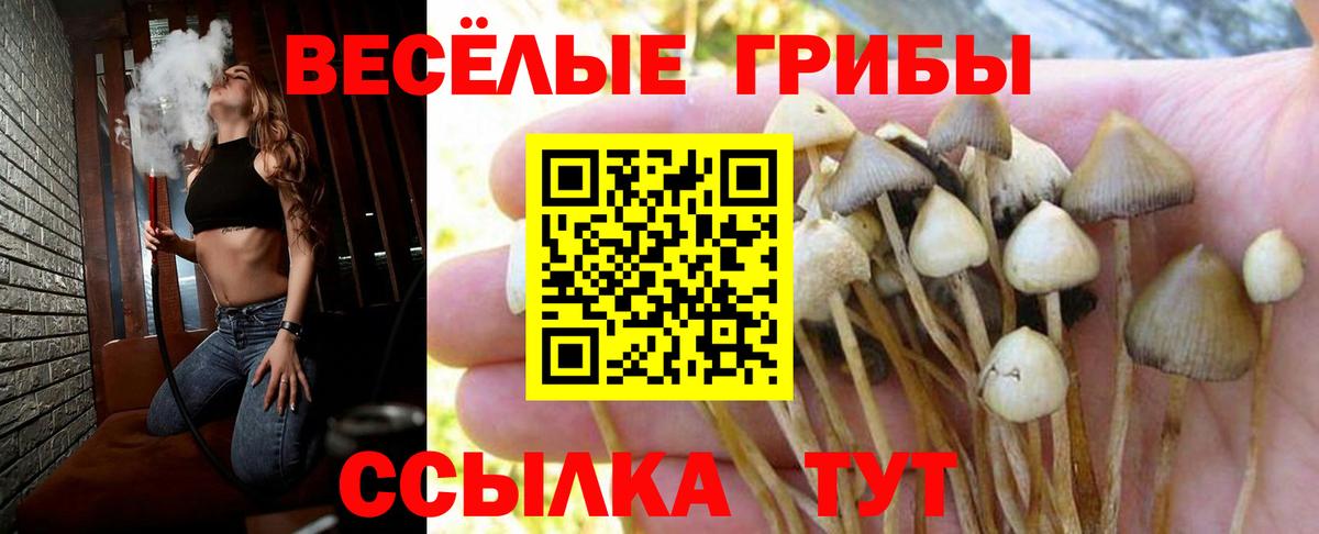 Псилоцибиновые грибы GOLDEN TEACHER Нягань